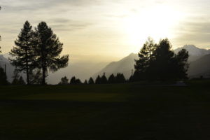 lookcoaching.com