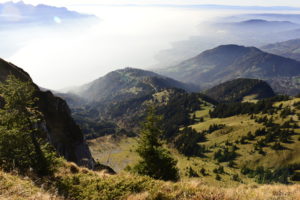 lookcoaching.com
