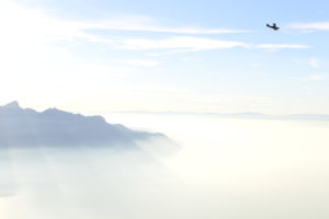 lookcoaching.com